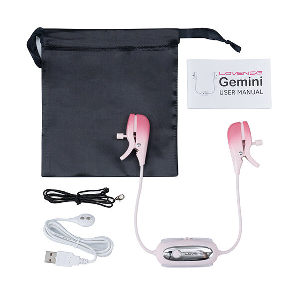 Lovense Gemini review showing the complete package contents